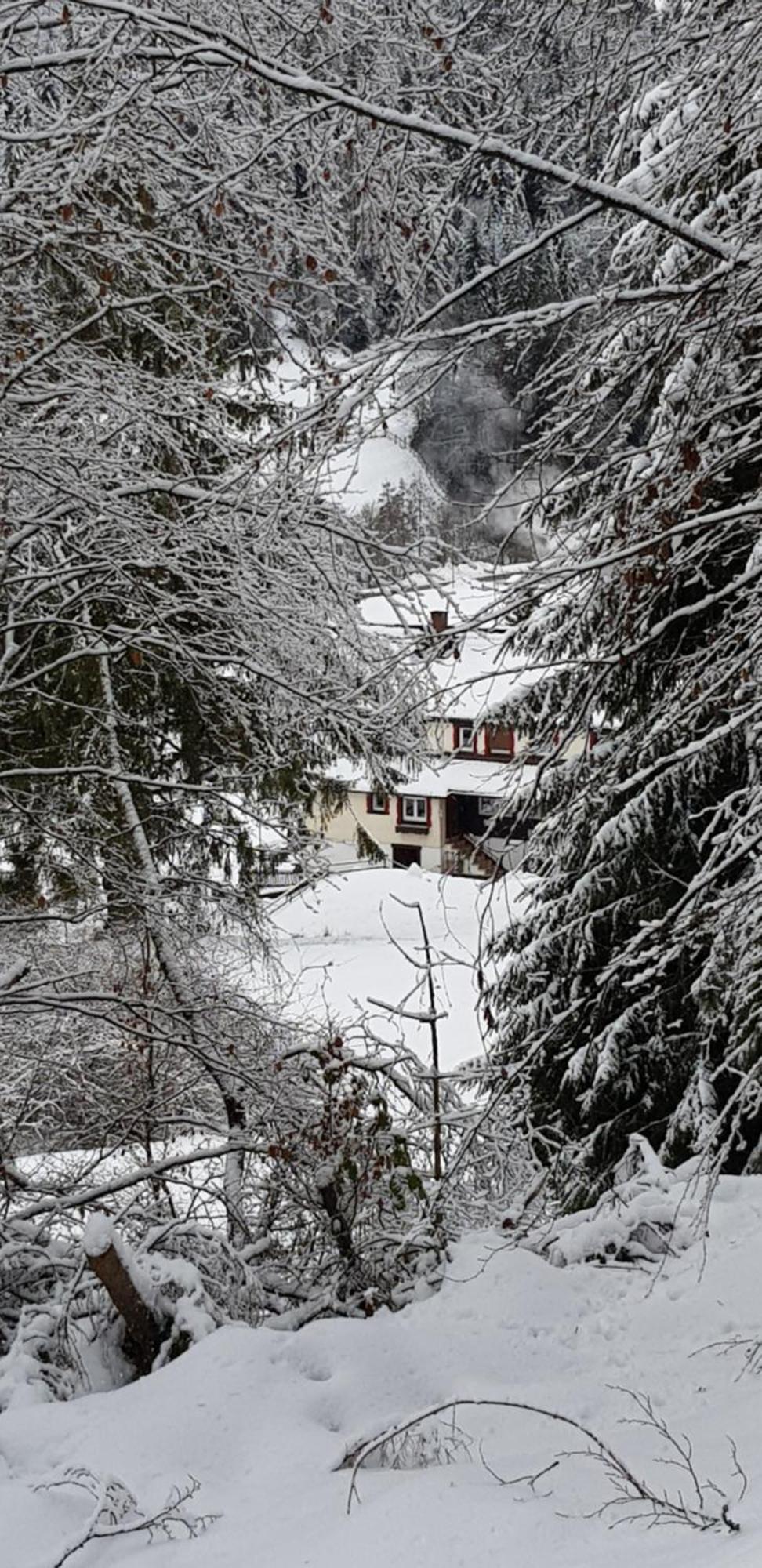 Ferienhof Ziegler - Studio Fingerhut Baiersbronn Esterno foto